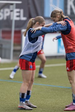 Bild 68 - wBJ Hamburger SV - FC Suederelbe : Ergebnis: 9:0